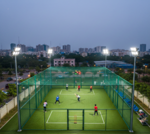What is a Box Cricket Court?