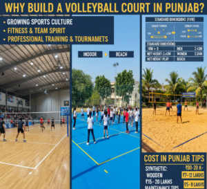 Why Build a Volleyball Court in Punjab?